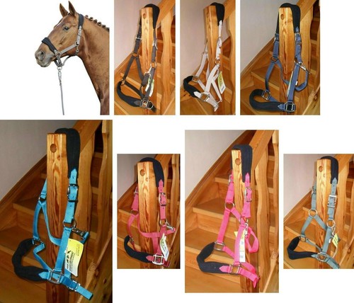 Halfter native gepolstert - halfter,
