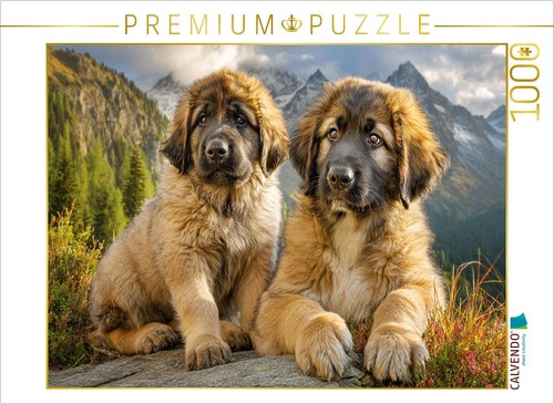 Calvendo puzzle süße - calvendo,