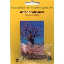 Bonsai - 6 Samen Adansonia