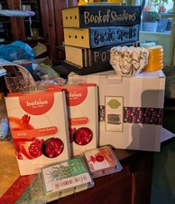 Scentsy Duftlampe Scentsy Halloween & Harvest 2021 Kollektion + Duftwachse...