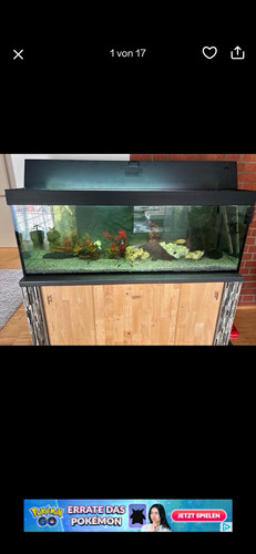 Komplettaquarium rechteckig