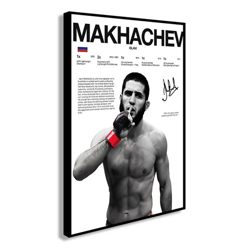 Islam makhachev ufc mma - islam,