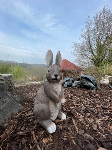 Hase macht männchen deko - hase,
