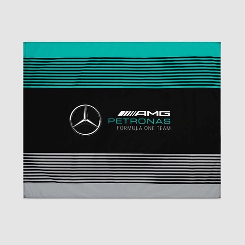 Mercedes amg team - mercedes, f1
