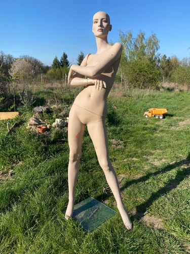 Mannequin rootstein - ,