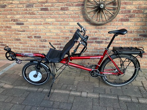Hase pino tandem - pino, –