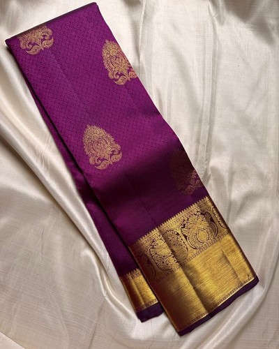 Designer sari bollywood braut - designer,