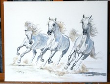 Galoppierende Arabische Pferde