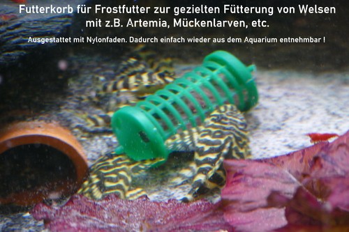 Fisch feeder futterautomat - fisch,
