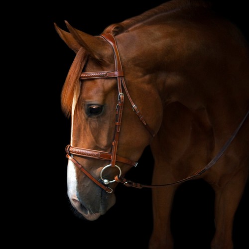 Utzon equestrian trensenzaum - utzon,