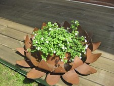 S08 Edelrost Schale mit Topf