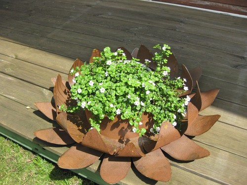 S08 edelrost schale mit topf - schale,