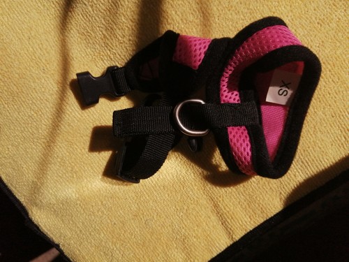 Hundegeschirr kleine hunde - hundegeschirr, xs