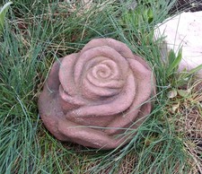 Rose Blume Blüte klein aus