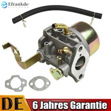 Vergaser für Robin Wisconsin