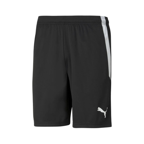 Puma teamliga shorts - puma, herren