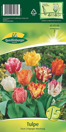 Tulpen papagei mischung - tulpen, mischung"