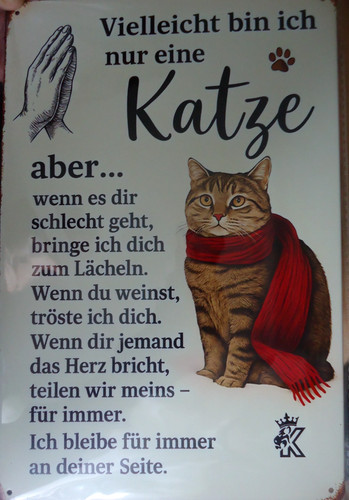 Vielleicht bin ich - vielleicht, eine