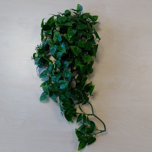 Terrarium kunstpflanze - terrarium,