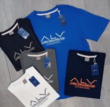 HERREN T SHIRT ALVIERO MARTINI