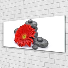 Acrylglasbilder Wandbilder aus