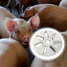 Schweinehaarschaber für