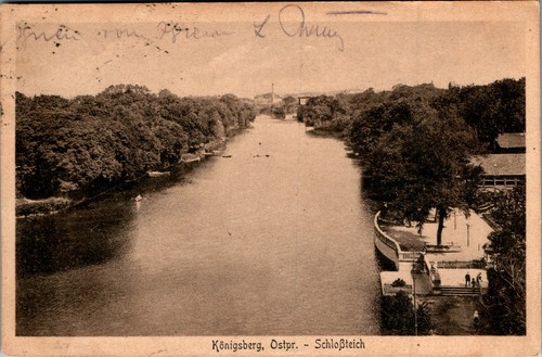 Gruss aus königsberg - ak,
