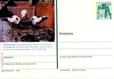 (850) Bildpostkarte ** - Saulgau - postfrisch