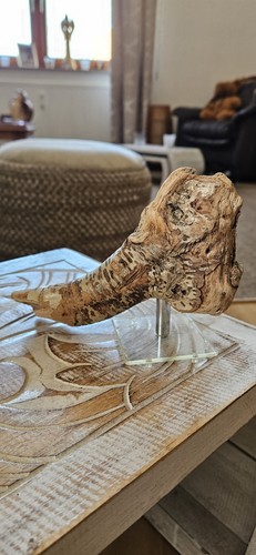 Treibholz skulptur unikat - treibholz,