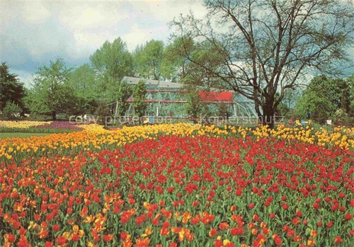 Iga gartenbauaustellung - iga,