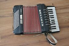 Einzigartiges Akkordeon Marke Delicia Junior III mit originalem Koffer