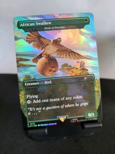 Birds paradise african - paradise, as
