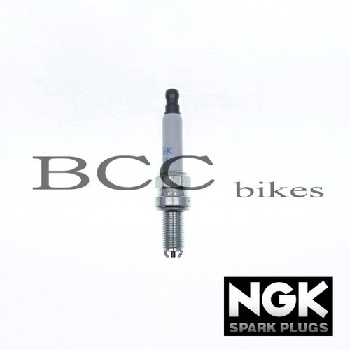 Ngk zündkerzen ducati diavel - zündkerzen,
