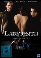 Labyrinth - Liebe ohne Ausweg von Fischer, Max | DVD | Zustand sehr gut