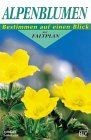 Alpenblumen buch zustand - |,