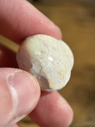 Coober pedy fossiler - pedy, opal