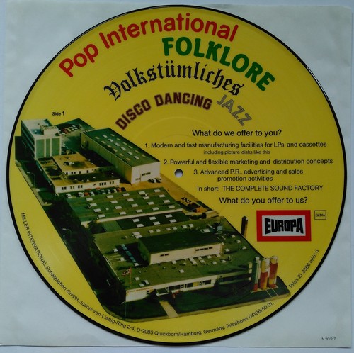 Vinyl picture disc - vinyl,