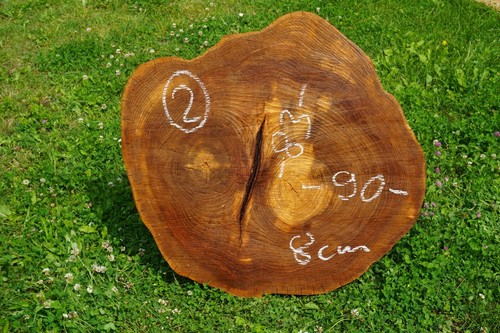 Baumscheibe xxl holzscheibe - baumscheibe,