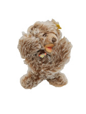 Steiff Bär Floppy Zotty