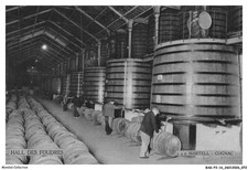 BAGP3-0209-16 - Cognac - Halle