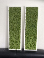 Islandmoos Wandbild - Moosbild - Mit Rahmen in weiß - Mooswand - Rentiermoos