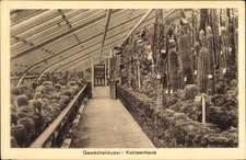Ak Berlin Zehlendorf Dahlem, Kgl. Botanischer Garten, Kakteenhaus - 3443070