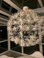 IKEA MASKROS Pusteblume Ø 55cm Hängeleuchte Deckenlampe Hängelampe Leuchte Lampe