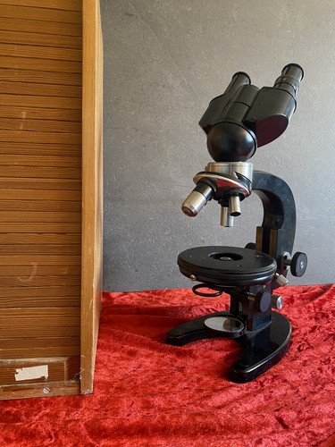 Zeiss jena stereo mikroskop - 1q,