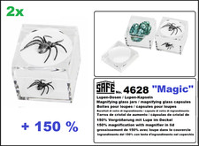 2-Lupendosen-Becherlupe-Insekt