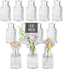 Kleine Glasvasen Set für