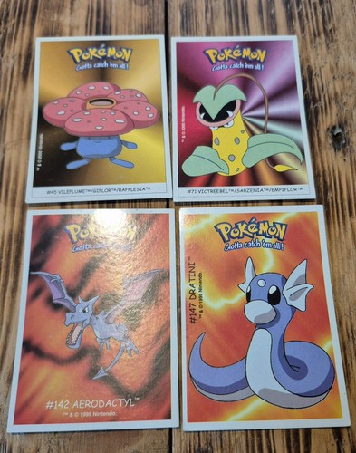 Dunkin boomer pokemon - dunkin, boomer🖼️pokemon
