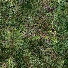 Patchworkstoff von Hoffman