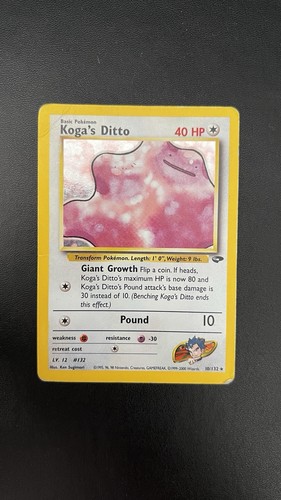 Koga ditto 132 gym - koga's, 10/132