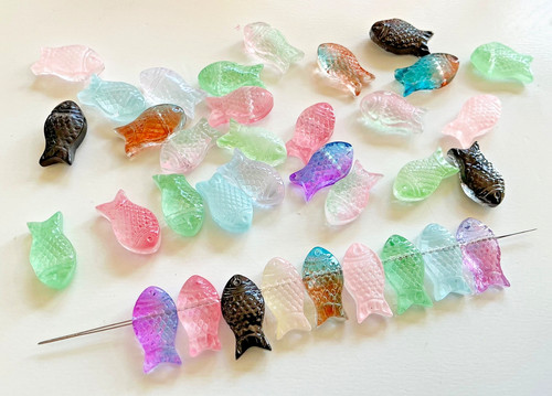Bunte glasfische fische - glasfische,,